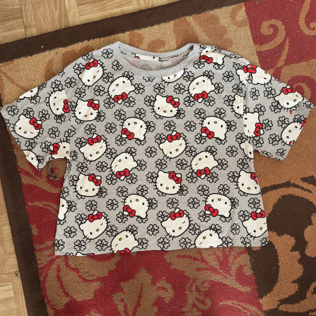 Hello Kitty All-Over Print Tee Kawaii Y2k Sanrio Top Cute Streetwear